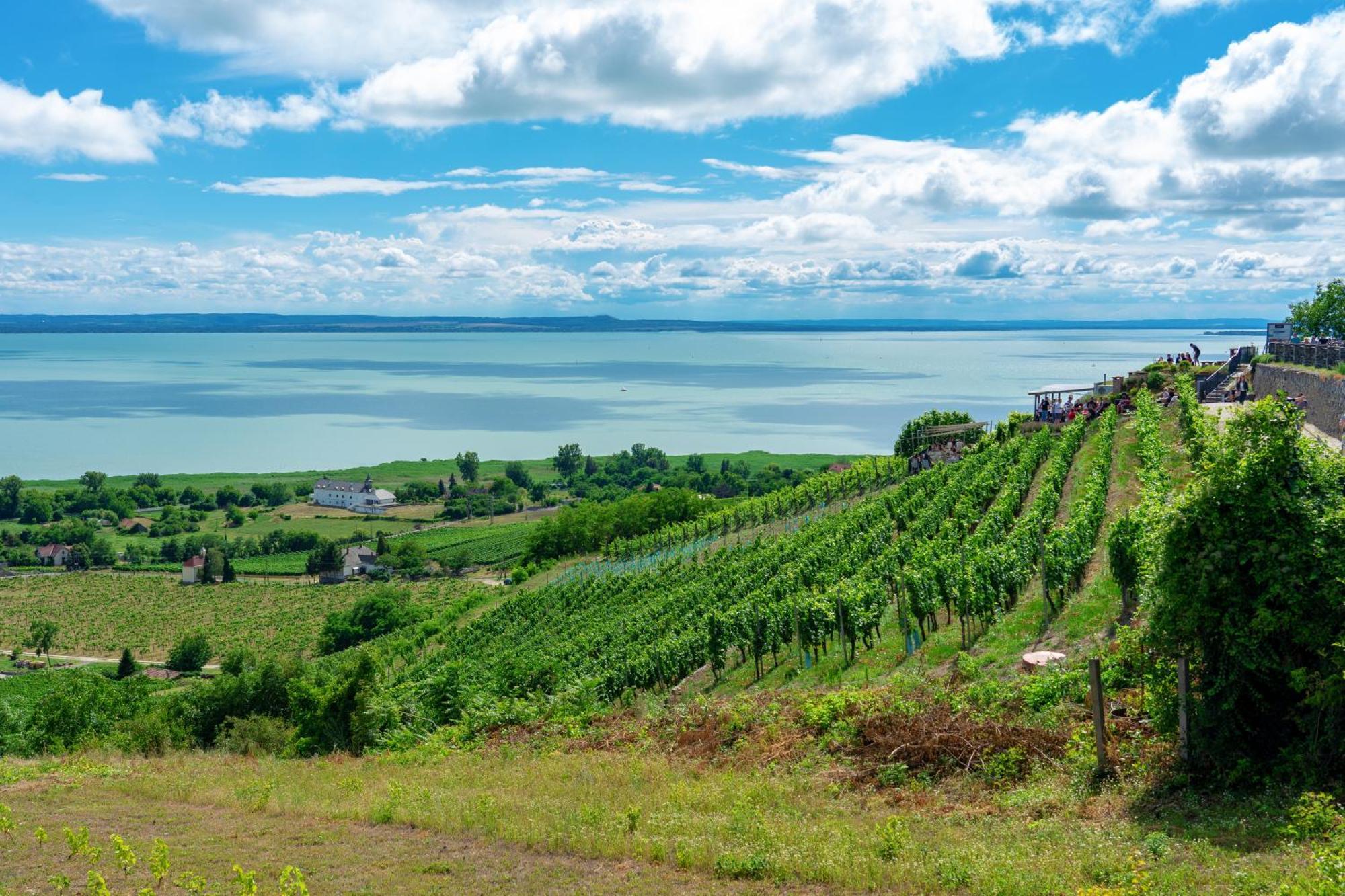 Lake Side Luxury Steps To The Lake Lela - Happy Rentals Balatonlelle Exterior foto